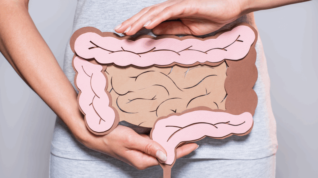 Figura de um intestino, em frente ao abdômen, segurado pela própria pessoa pelas suas duas mãos para ilustrar a ideia de microbiota intestinal.